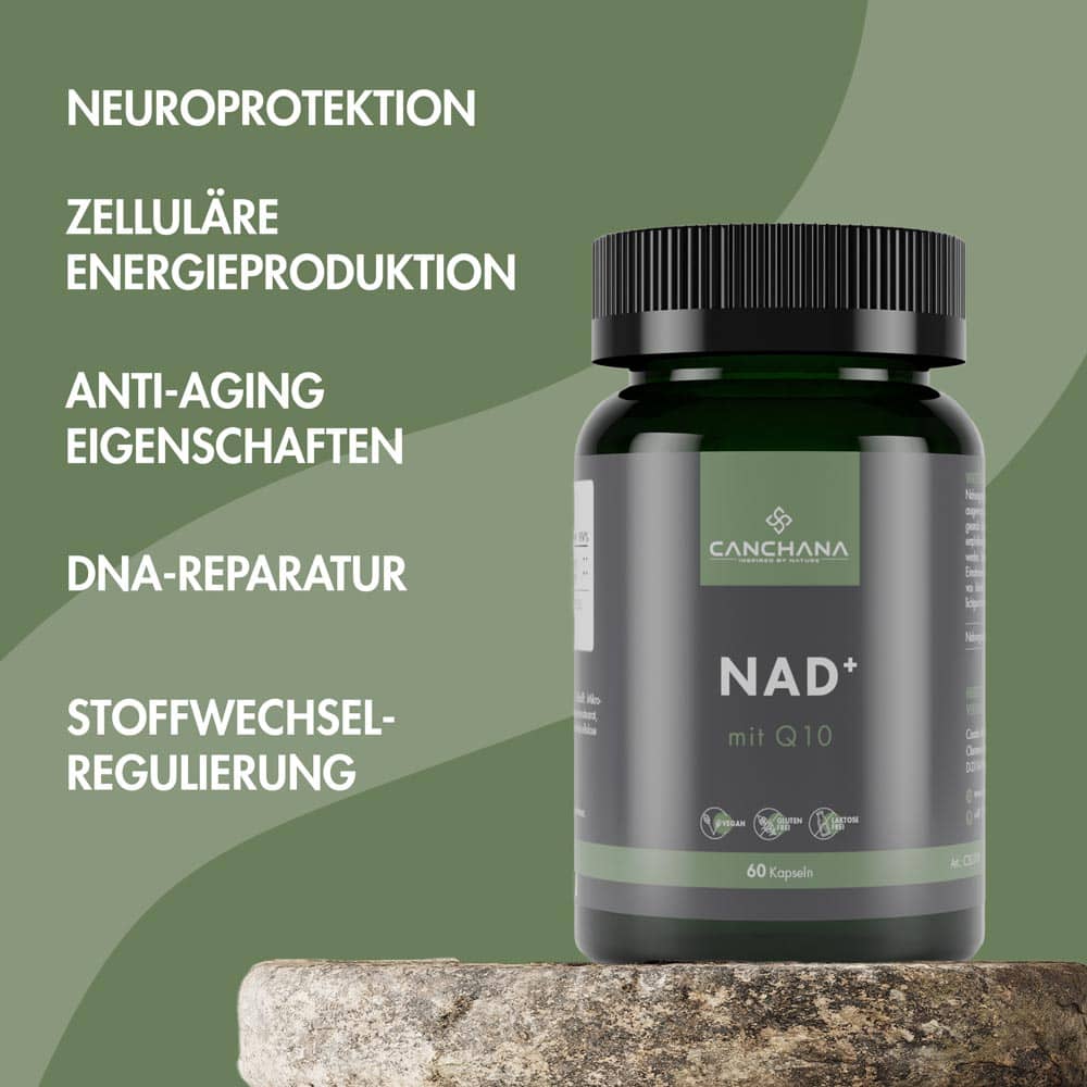 Nad+