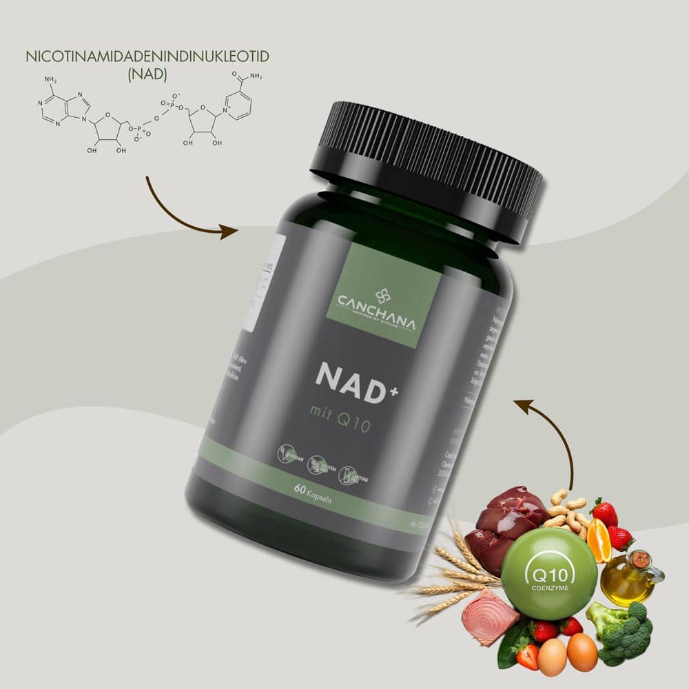 Nad+
