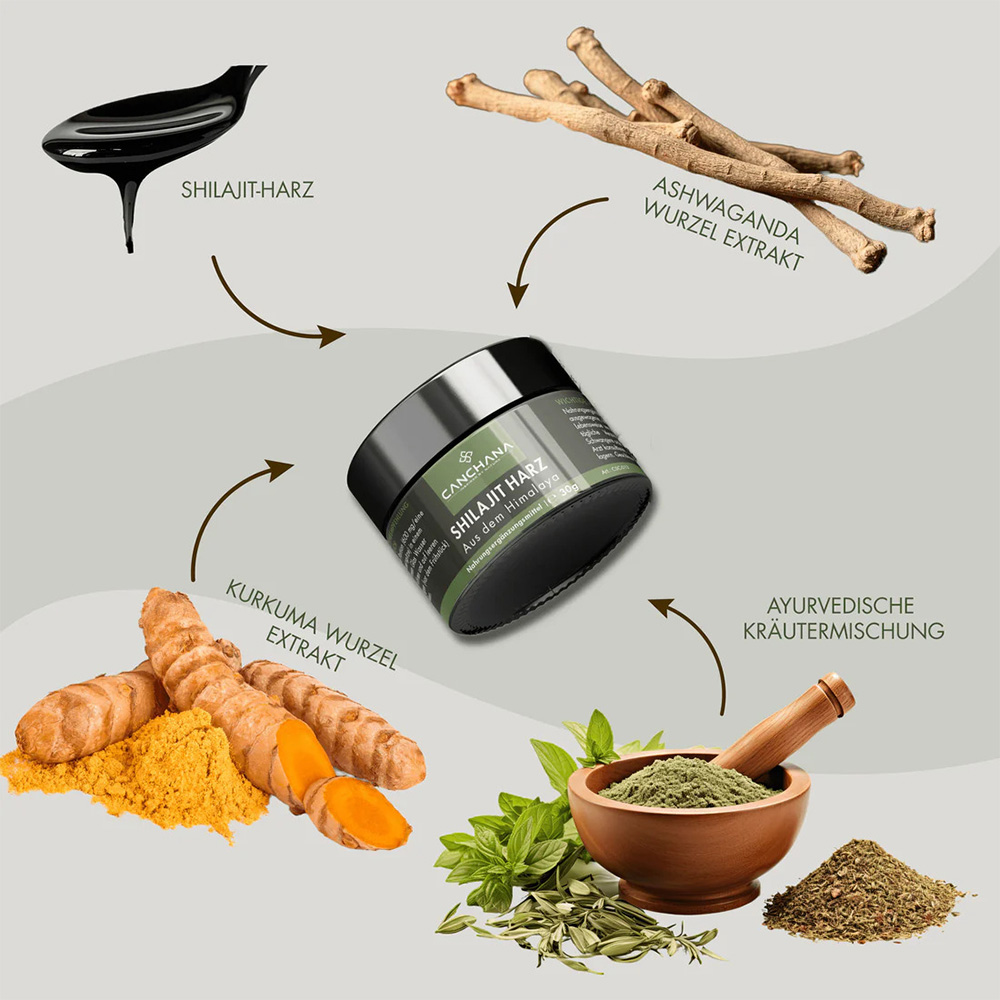Shilajit Harz Shilajit Harz