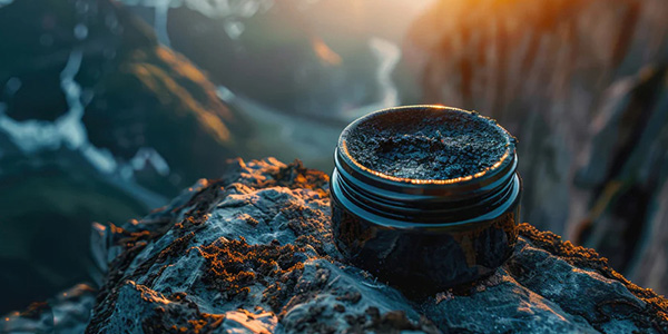 Shilajit Harz aus dem Himalaya Shilajit Harz aus dem Himalaya