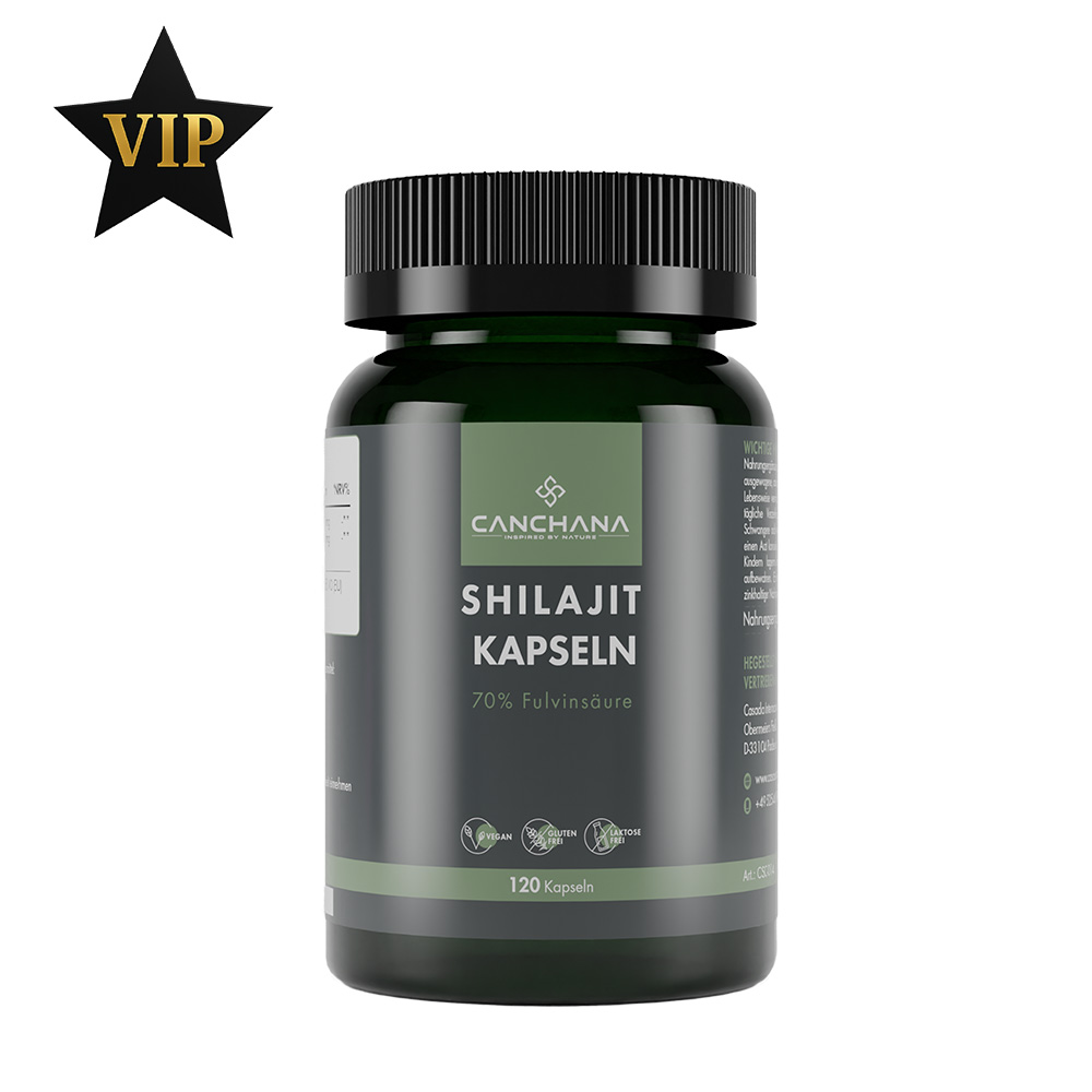 Shilajit Kapseln