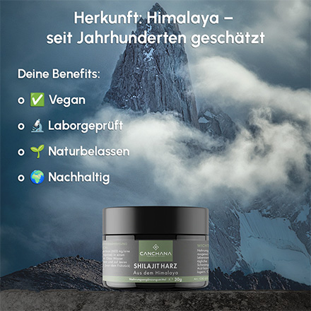 Shilajit Harz A
