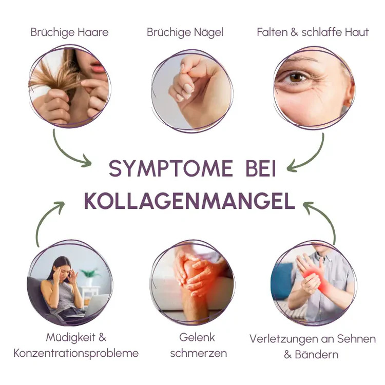 Premium Kollagen